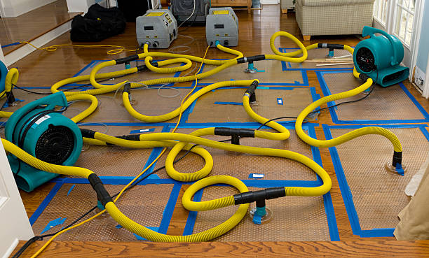Professional Flood Damage Restoration technician working in Mesa, CO